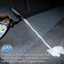 Turtle Spot Clean & Odor Remover