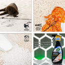 Turtle Spot Clean & Odor Remover