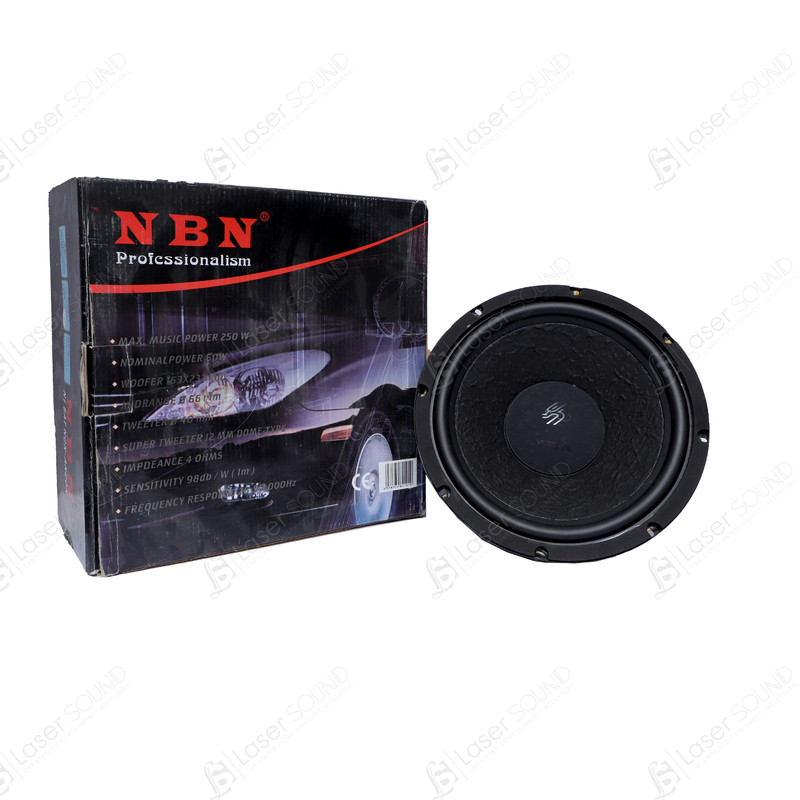 NBN Professionalism 10 inches Subwoofer